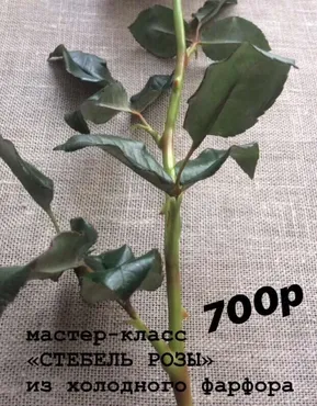 Стебель розы (Анжелика Флор)