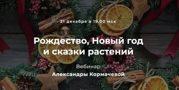 Рождество, Новый год и сказки растений (Александра Кормачева)
