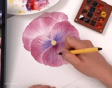 [lectoroom] Рисуем анютины глазки акварелью (Светлана Лансе)