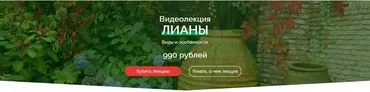 Лианы. Виды и особенности использования (Наталья Мягкова)