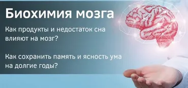 [endo_doc_] Закрытый канал Биохимия мозга: ключ к себе. Июль 2025 (Лариса Чумак)
