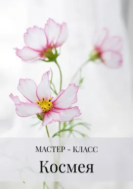 Космея (Дина Косточка)