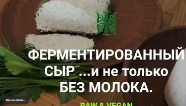 Ферментированный сыр ... и не только  (Татьяна Жданова)