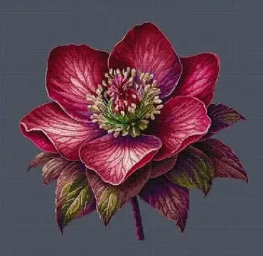 [yermakova.cross_stitch] Чемерник