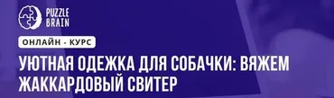 [Puzzlebrain] Уютная одежка для собачки: вяжем жаккардовый свитер (Анастасия Крайнюкова)