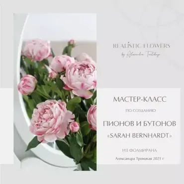 Создание пионов и бутонов «Sarah Bernhardt» из фоамирана (Александра Троицкая)