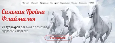 Сильная Тройка Флаймамы. Пакет Соло (Светлана Гончарова)