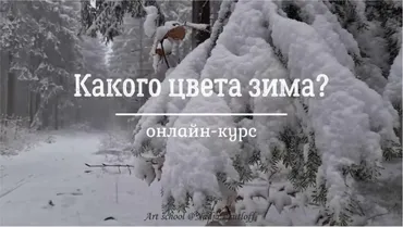 Какого цвета зима? Доступ на 3 недели (Надя Лойтлофф)