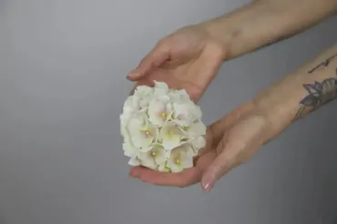 Гортензия из пластичного шоколада  (Даяна Лус)