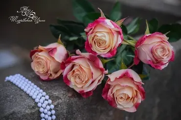 Мастер класс роза «Свитнес» из зефирного фоамирана (Ирина Тхоривская)