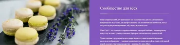 [Pastry Club] Кондитерский клуб Pastry Club. Декабрь (Мария Селянина)