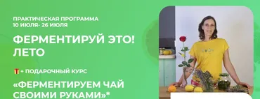 Ферментируй это! Лето 2025 (Вероника Порсина)