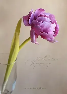 Цветы из фоамирана (Лилия Кренцлер)