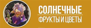 [Art Shima] Солнечные фрукты и цветы (Анастасия Шимшилашвили)