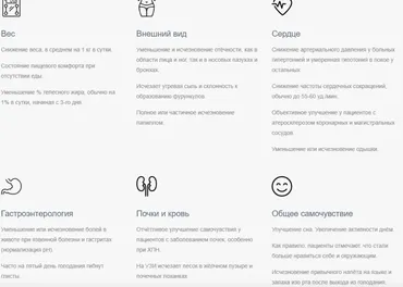 Лечебное голодание. 1 цикл (Александр Ворошилов)