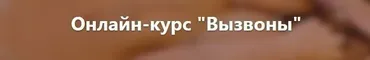 Онлайн-курс «Вызвоны» (Владимир Рябов, Никита Мартынов)