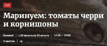 [Novikov School] Маринуем: томаты черри и корнишоны