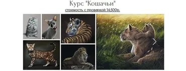 Кошачьи (Юлия Дубинина)