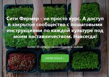 Сити Фермер: Свежая микрозелень у вас дома за одну неделю (Михаил Попов)