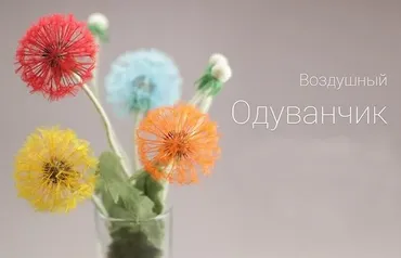 [acicularis] Пушистый Одуванчик (Ирина Егорова)