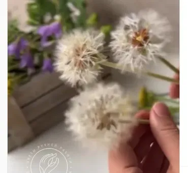 Белые пушистые одуванчики (queen_clayflowers)