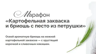 Картофельная закваска и бриошь с песто из петрушки. Тариф Самостоятельный (Ольга Войнова)