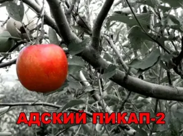Адский пикап-2 (Андрей Мосин)