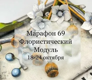 Марафон 69 (Елена Раевская)