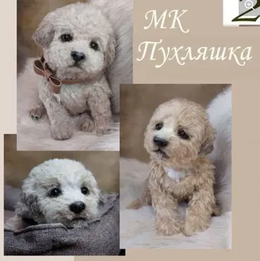 Пухляшка (Валентина Крижановская)