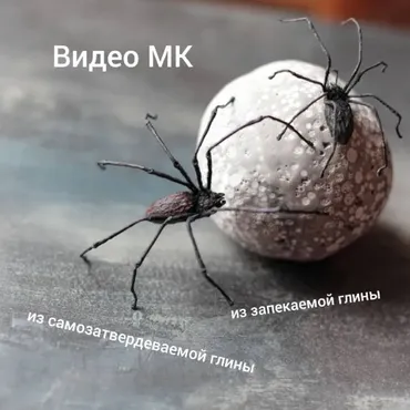 Пауки (Анна Рудая)