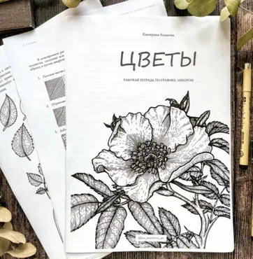[kat_kazakova_art] Рабочая тетрадь по ботанической графике линером (Екатерина Казакова)