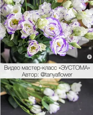 Видео мастер-класс «Эустома» (tanyaflower)