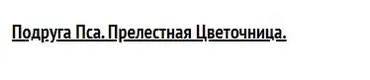 Подруга Пса. Прелестная Цветочница (Анастасия Голенева)