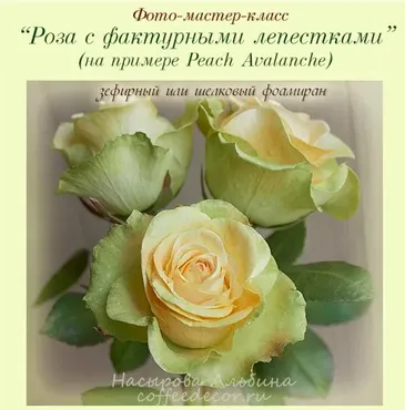 Фото-мастер-класс «Роза с фактурными лепестками» на примере Peach Avalanche. Зефирный или шелковый фоамиран (Альбина Насырова)