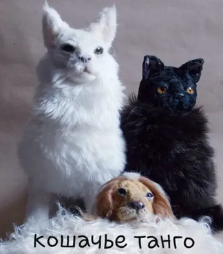 Кошачье танго (Анна Степанова)