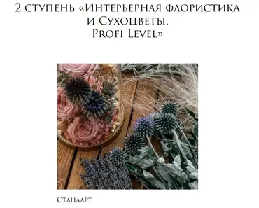 Интерьерная флористика и Сухоцветы. 2 ступень Profi Level. Тариф Стандарт (Елена Попова)