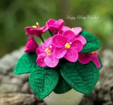 African Violet/Африканская фиалка (HappyPattyCrochet)