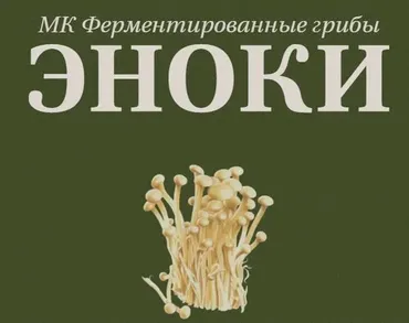 [fermentinwonderland.ru] Ферментированные грибы Эноки (Мария Сочилкина)