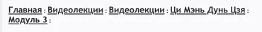 Ци Мень Дунь Дзя. Модуль 3. Поиск людей и Погода (Бронислав Виногродский)