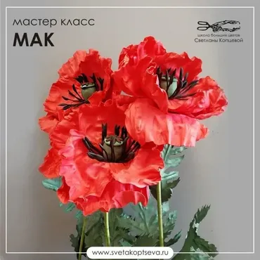 Мак из фоамирана ЭВА (Светлана Копцева)