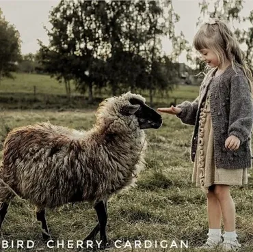 Кардиган детский Bird cherry (Марина Аюева)
