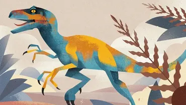 [Domestika] Иллюстрация дикой природы для детских книг