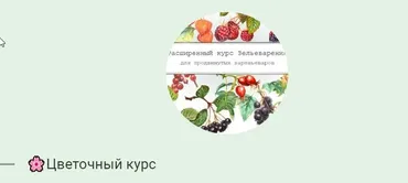 [dom_ulitki] Цветочный курс (Ирина Таро)