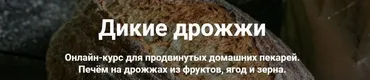 Дикие дрожжи (Ахмед Али-заде, Ольга Ткаченко)