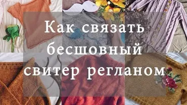 Бесшовный свитер регланом (Nastasia Tsibizova)