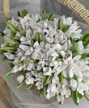 [zabavadessert] Зефирные подснежники (Татьяна Забалуева)