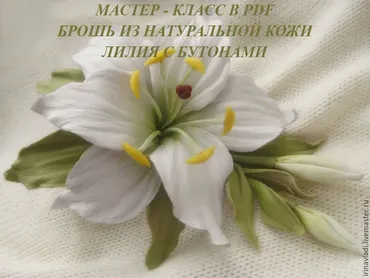 Лилия с бутонами (Ирина Влади)