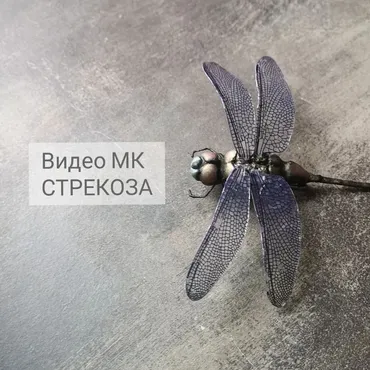 Стрекоза (Анна Рудая)