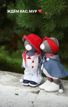 Коты (Ульяна Костецкая)