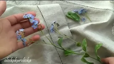 Незабудка (Олеся Богданович)